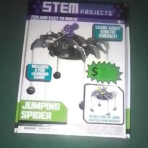 Jumping Spider Kit - Black and Green